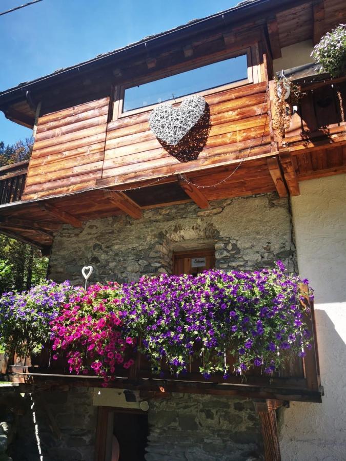 Maison Le Cler Valtournenche Exterior photo